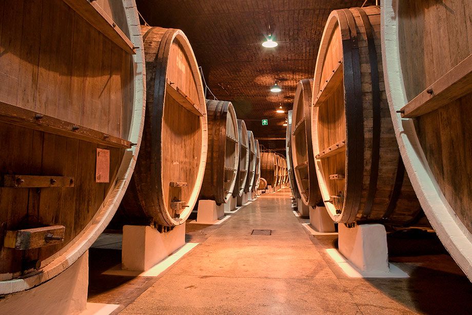 Enoturismo Ribera del Duero