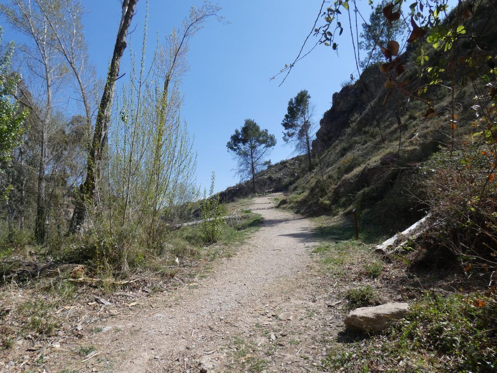 actividades en la naturaleza