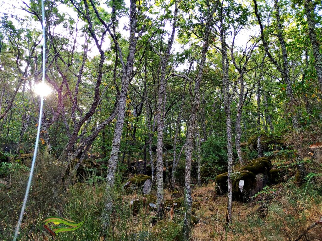 experiencias en la naturaleza